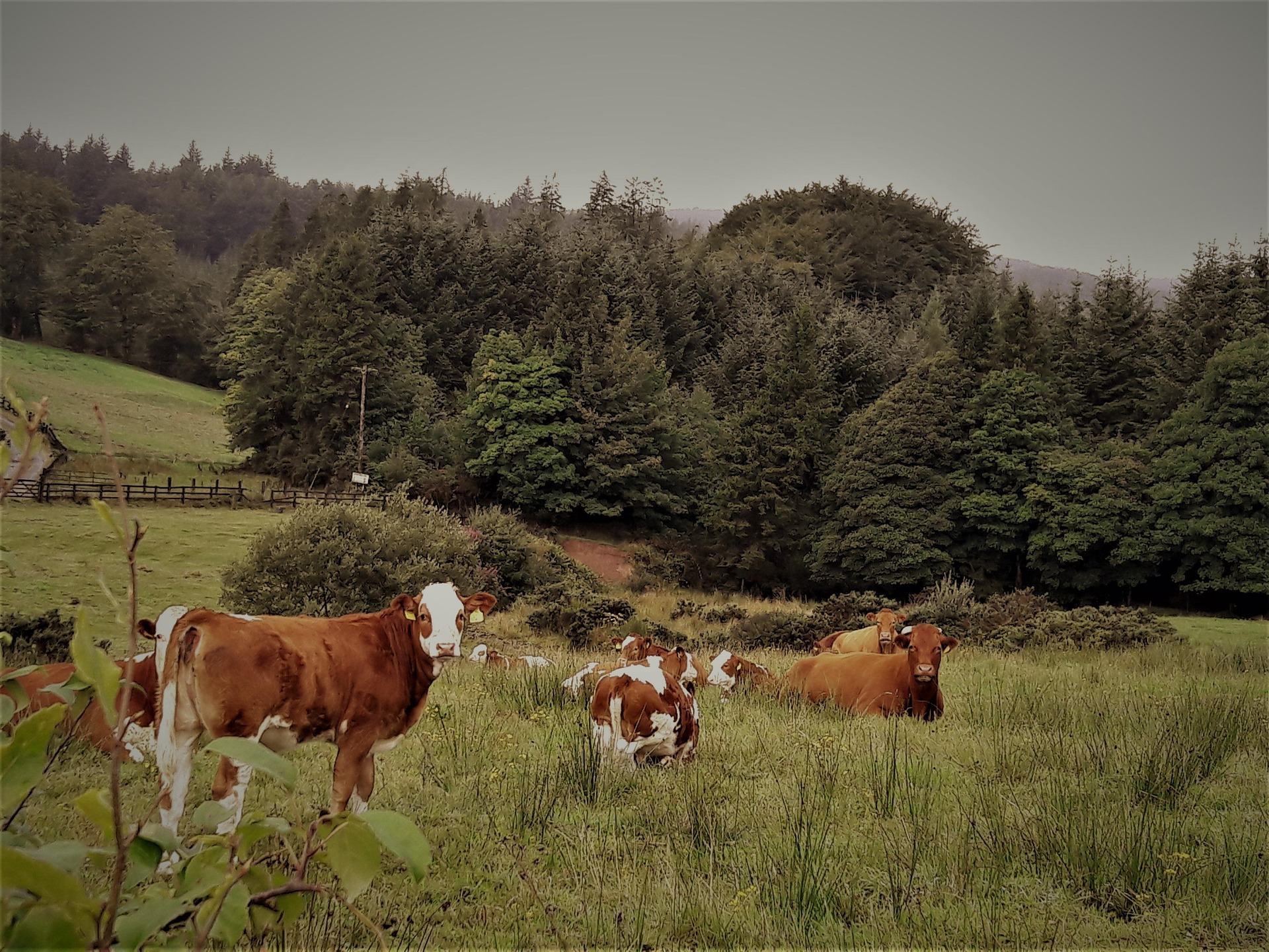 Leahy and Co Accountants office in Kilrush, Co Clare
